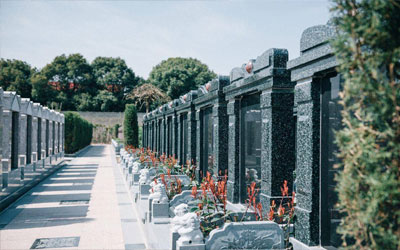 祖坟好风水的六大征兆