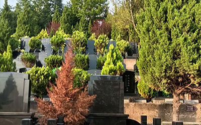 感觉生活太累的时候，你可以去公墓转转