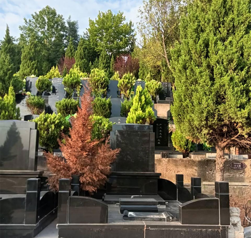 感觉生活太累的时候，你可以去公墓转转