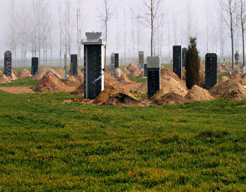 农村有人去世后，为啥不埋在陵园