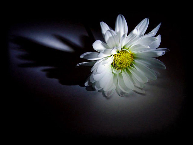 撰写悼词有哪些讲究