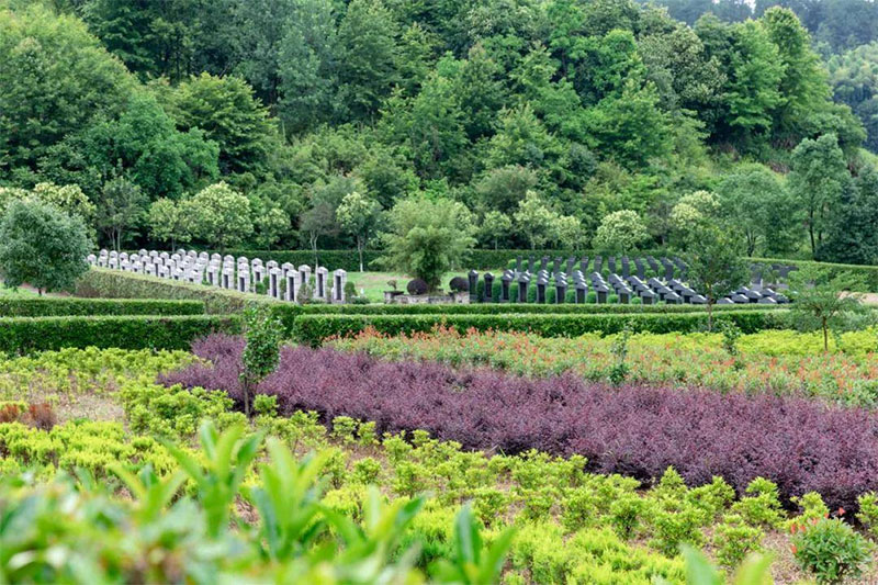 葬到好风水的征兆有哪些？风水下葬时有什么吉兆为好？