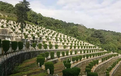 墓地续租收管理费