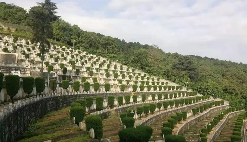 墓地续租收管理费