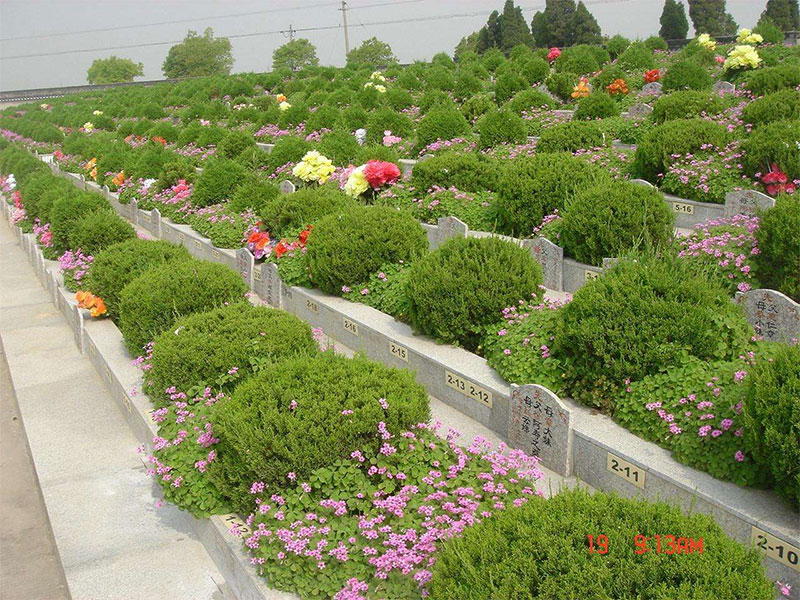 坟墓的正前方不可以有什么?了解相关风水知识