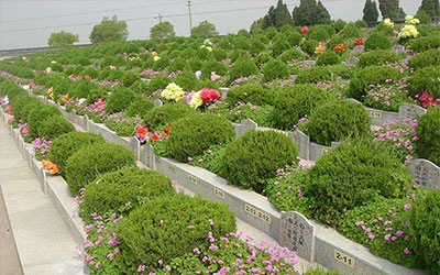 坟墓的正前方不可以有什么?了解相关风水知识