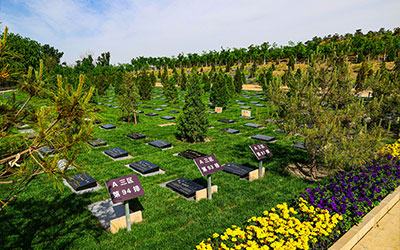 墓地看风水要来龙有势，发脉悠远