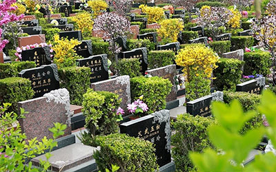 墓地风水之哪些地段不适合下葬