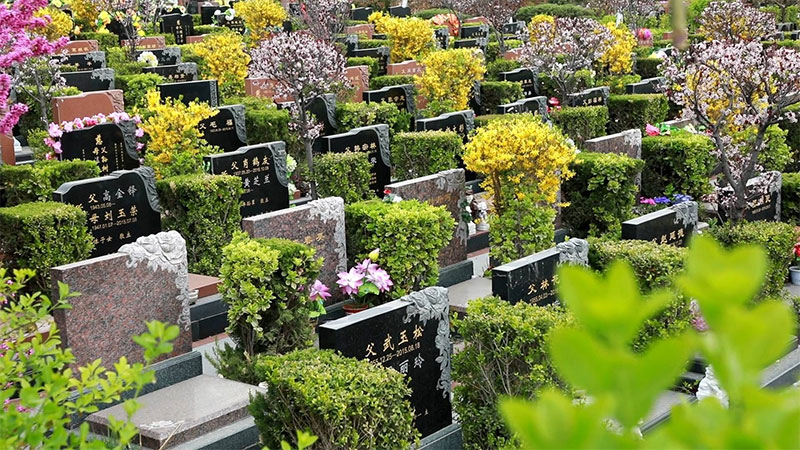 墓地风水之哪些地段不适合下葬