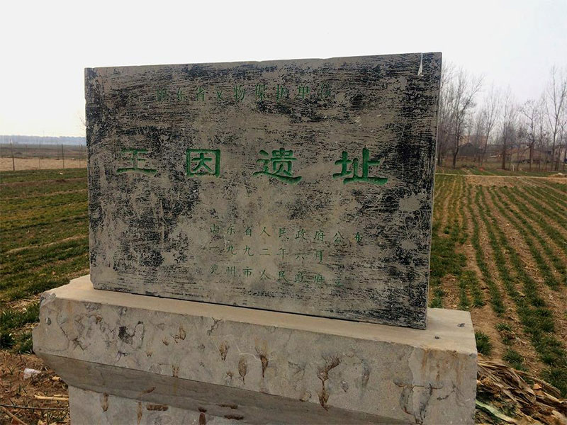 中国最大的史前墓地之一山东济宁王因遗址