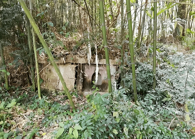 坟头上长竹子能不能砍 坟头风水注意事项