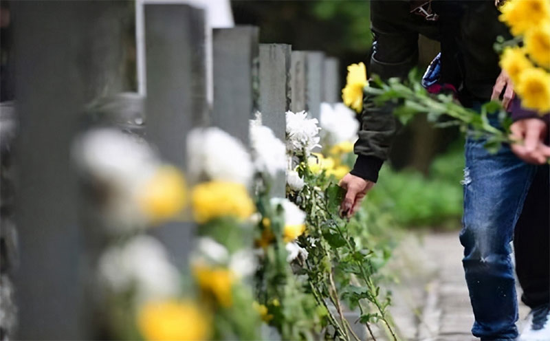 清明节扫墓祭祖哪些人不适合