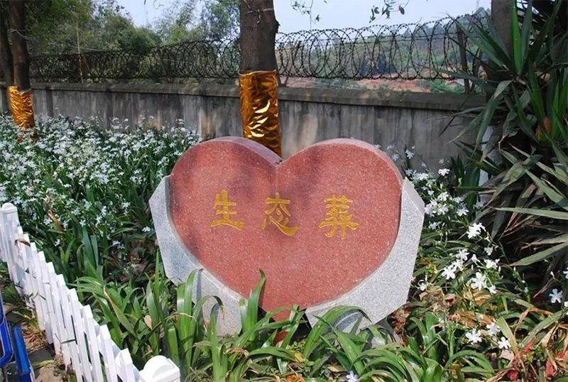 六大节地生态葬类型，您能接受哪一种