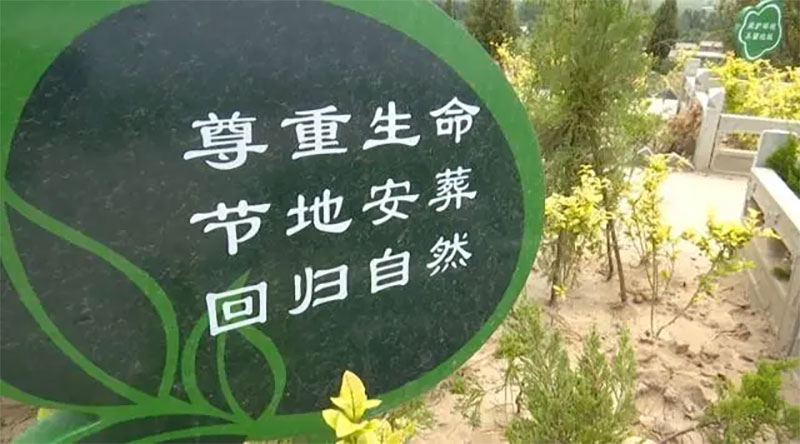 生态葬的主要形式有哪些
