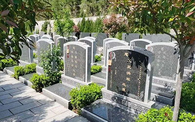 坟墓长什么草后人发财，坟墓风水禁忌