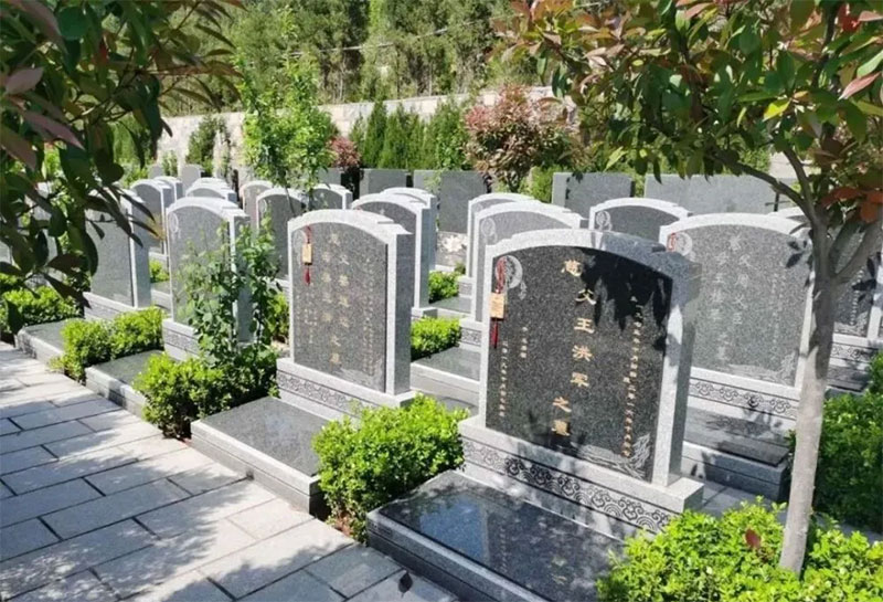 坟墓长什么草后人发财，坟墓风水禁忌