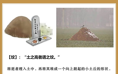 什么是坟