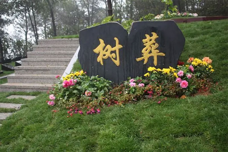 百姓越来越认可的树葬有什么优势？