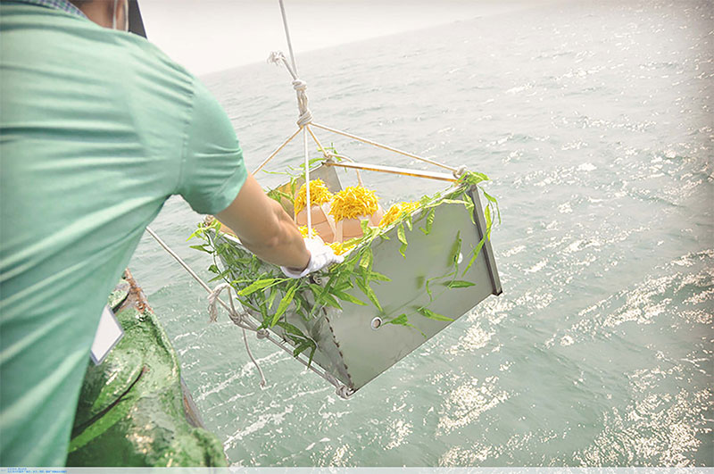 骨灰撒海经济环保，节约土地，逐渐被人们接受