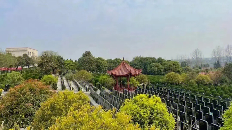 坟墓前栽种植被的讲究
