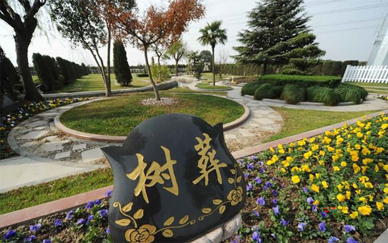 昆明墓地公司带你了解树葬