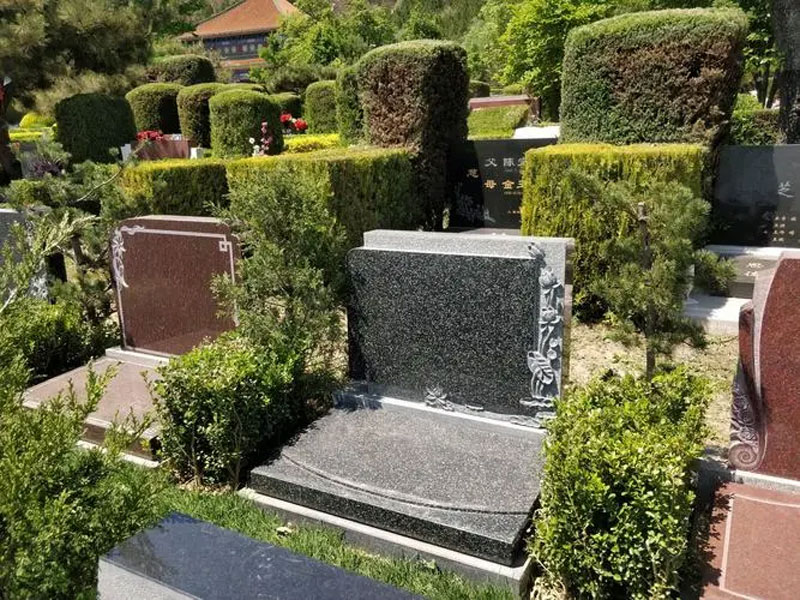 墓地为什么越来越贵