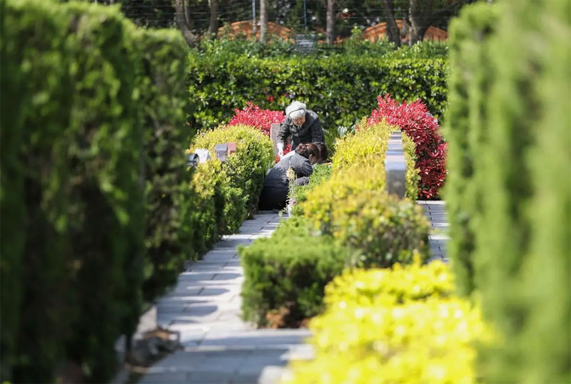 祭奠亲人都有哪些日期及形式