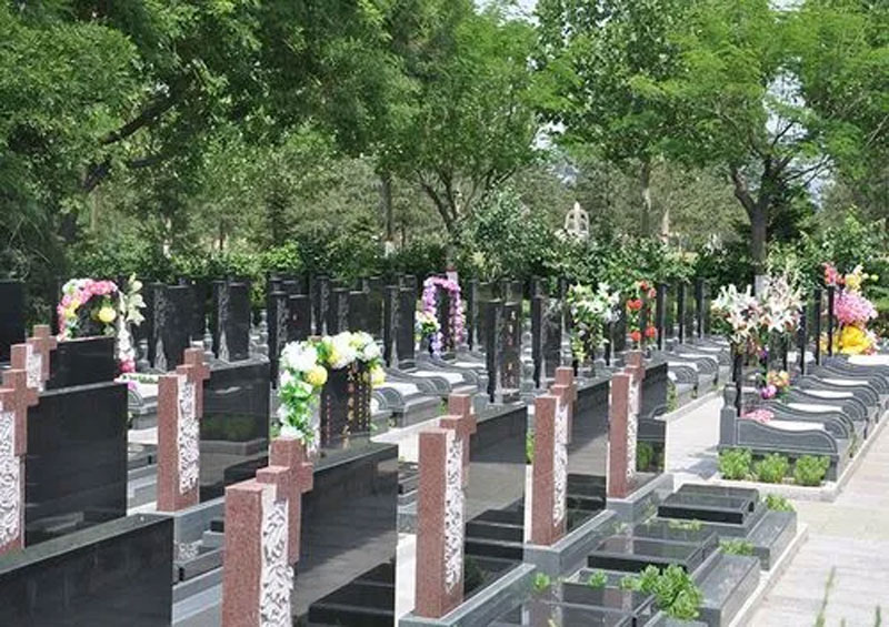 墓地、墓园、公墓、陵园：它们之间有何差异