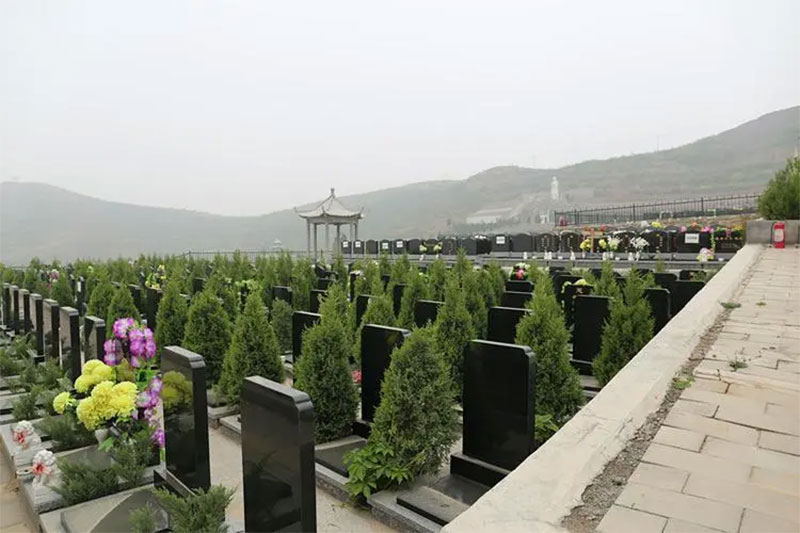公益性和经营性墓地有什么本质区别