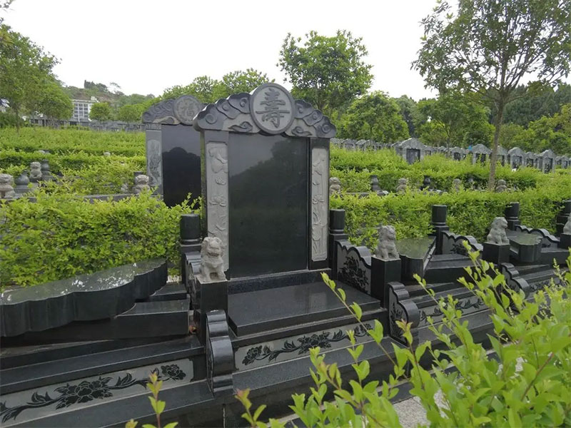 墓地长桑树有何主要喻意