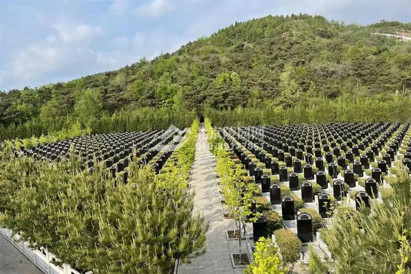 什么公共墓地风水好？墓地风水的讲究有哪些？