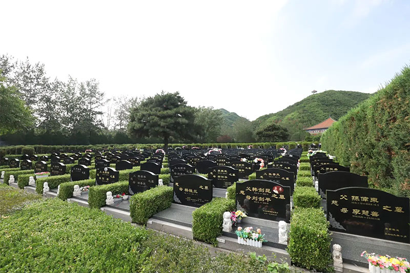 葬中吉地有什么征兆？风水宝地下葬异象