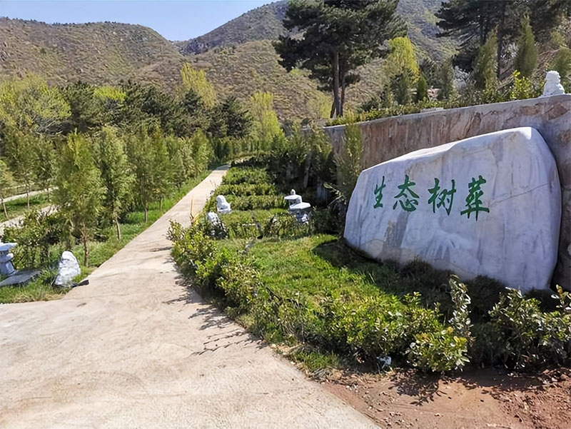 树葬是什么意思？树葬要去哪里办理呢？