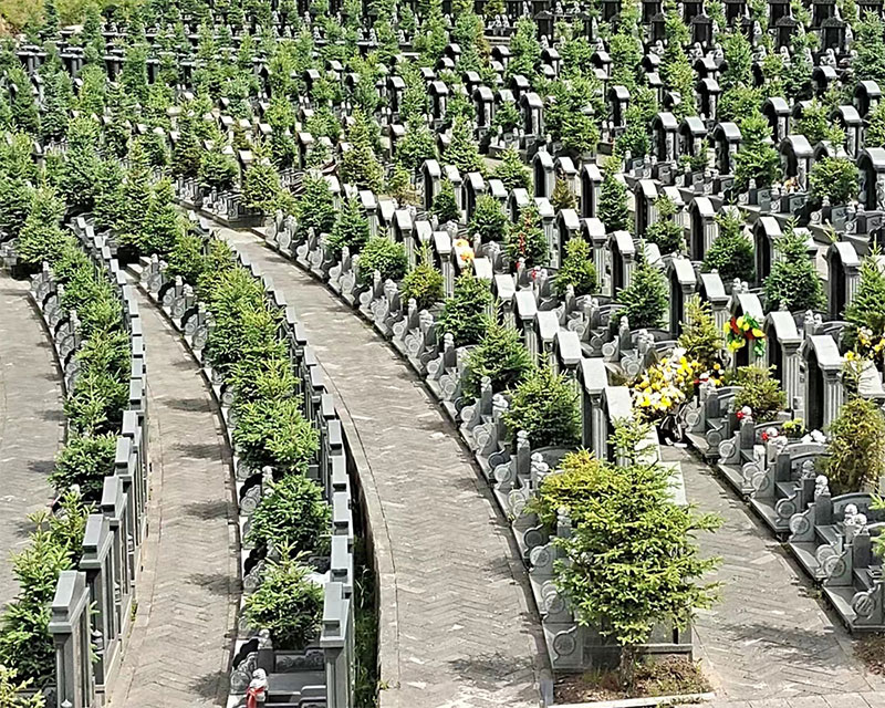 墓位到期不续费会怎么样