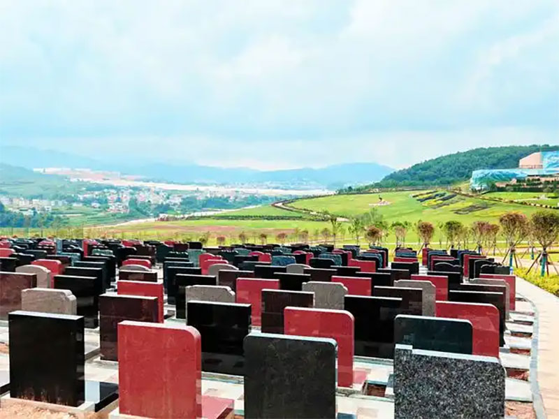 有人问横死能入土吗