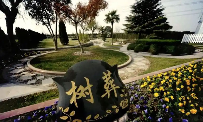 最常见的环保生态葬方式是什么形式