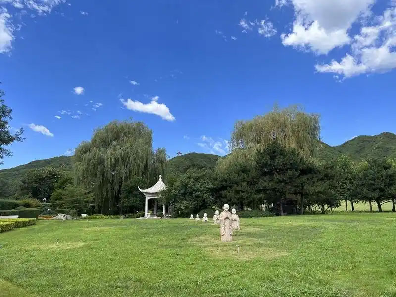 生命终点的抉择：树葬与海葬，你会选择哪一种？