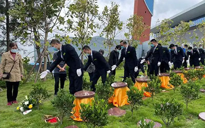 清明节快到了，树葬该如何祭扫呢？