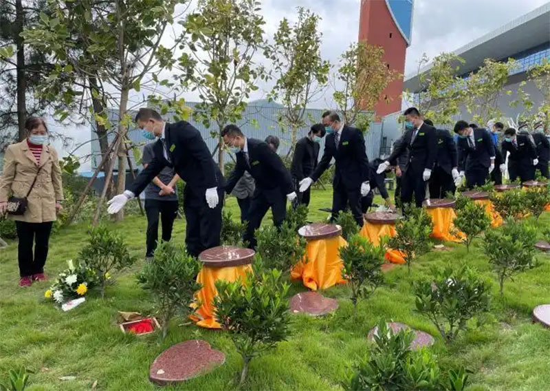 清明节快到了，树葬该如何祭扫呢