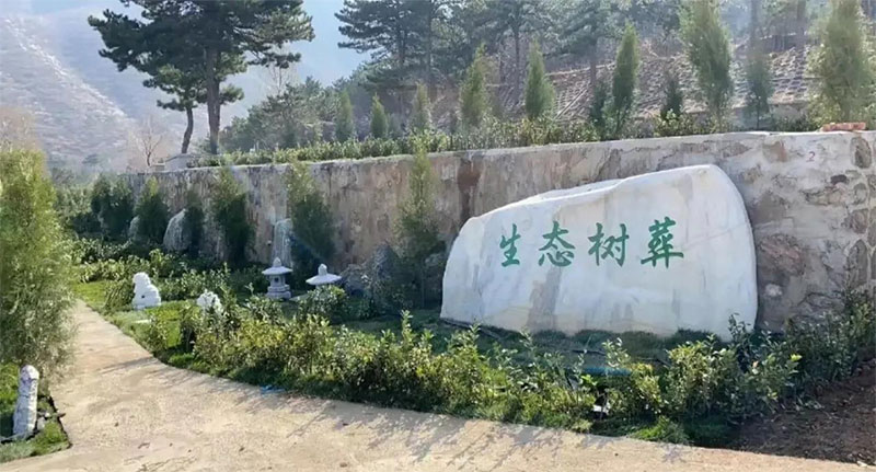节地生态安葬的主要形式