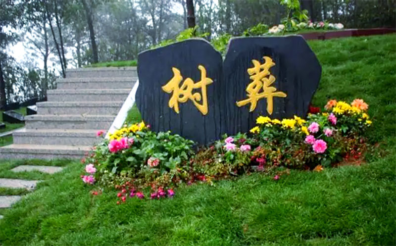 树葬：与自然共生的独特葬仪