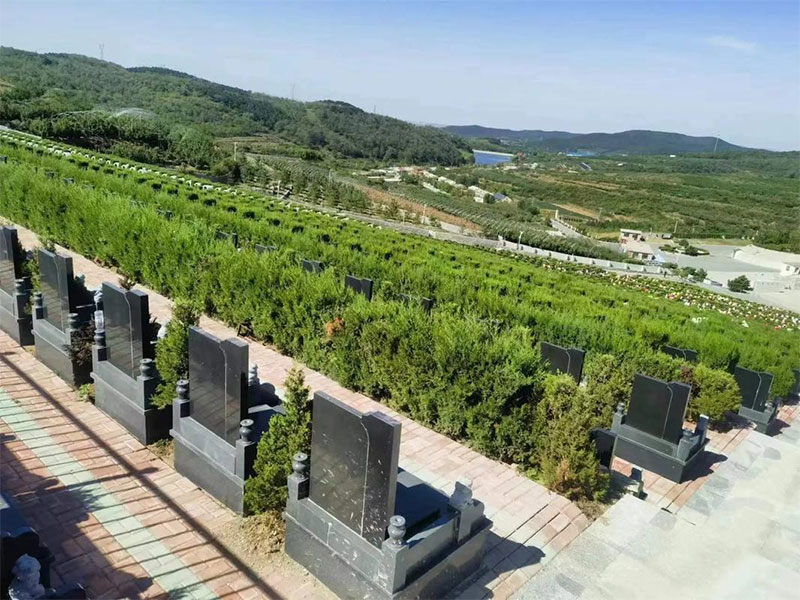 奶奶的墓地会影响谁
