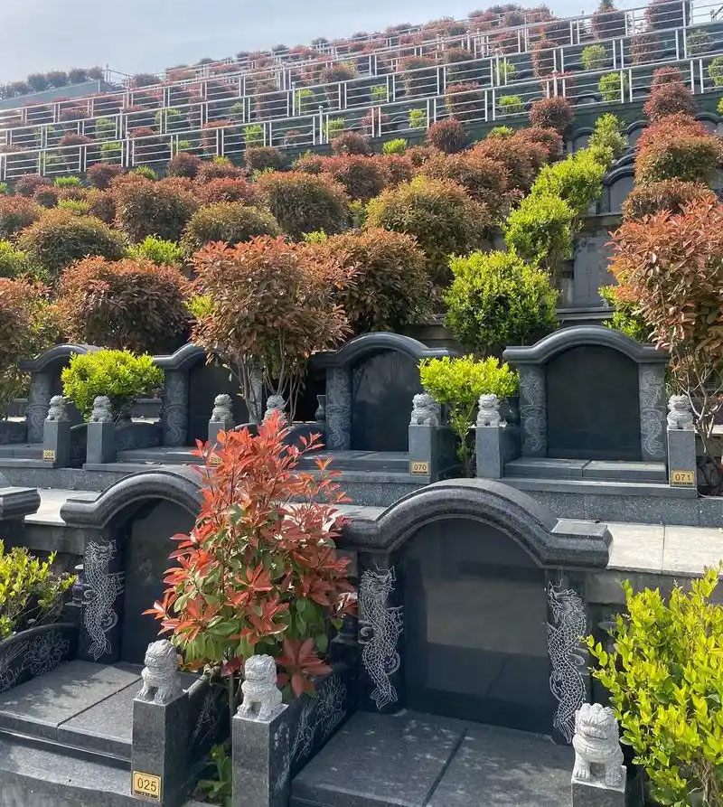公墓的冷知识，你知道多少
