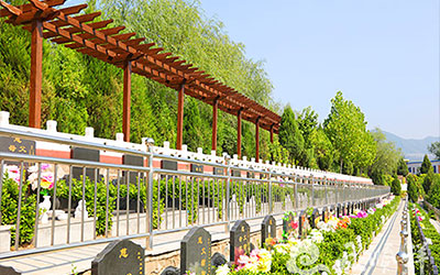 怎么看墓地风水好