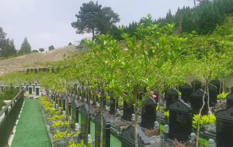 到期后如何续费？无人续费的墓地会如何处理？