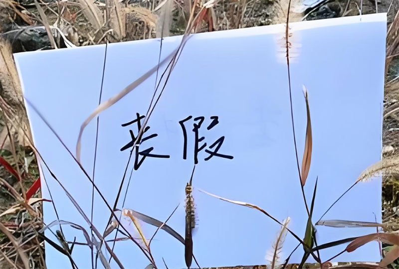 亲哥死亡有丧假吗？亲哥死亡的丧假规定