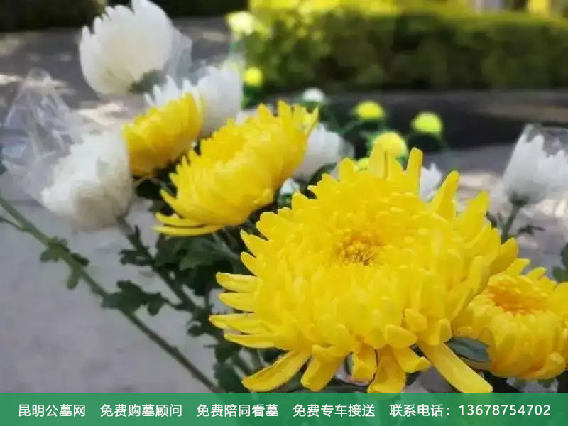 昆明丧葬服务机构有哪些