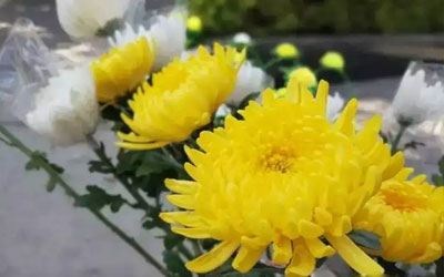 公墓信息网临终关怀服务