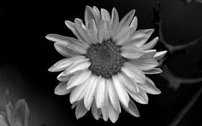 追悼词的格式和追悼词各种分类