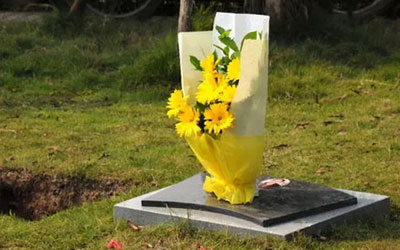 殡葬业作为我国经济领域新兴行业的问题及建议